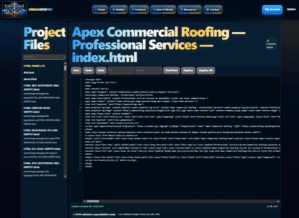 Omega Web Pro direct source-code editor